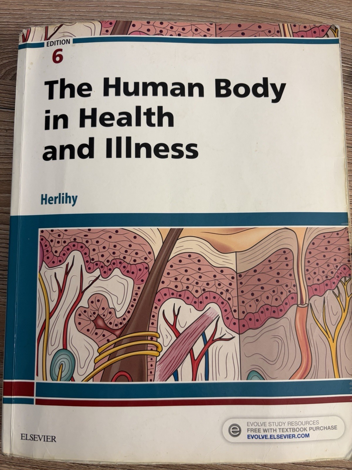 The Human Body In Health and Illness 6th Edition Paperback By Barbara Herlihy