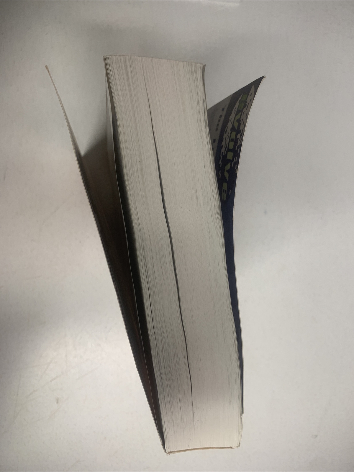 Nursing Diagnosis Handbook : A Guide to Planning Care by Gail B. Ladwig and…
