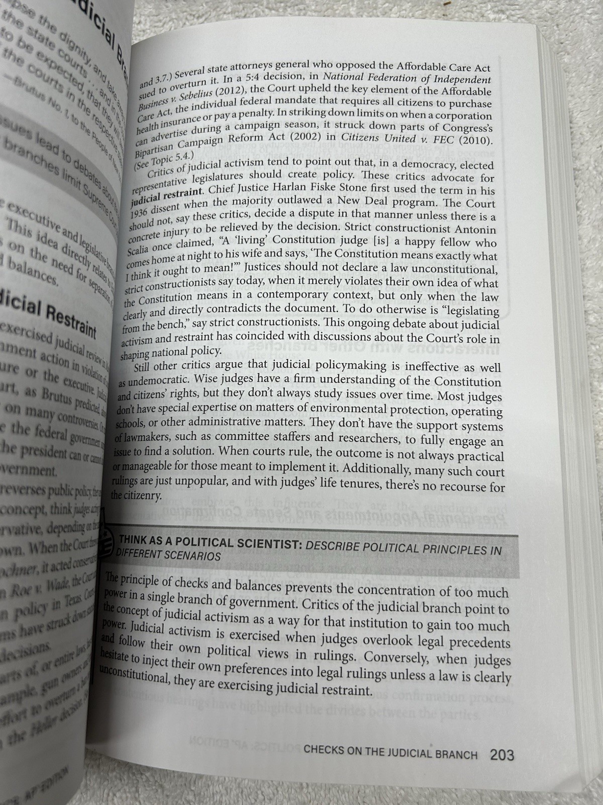 Advanced Placement United States Government & Politics, 3rd Edition by David…