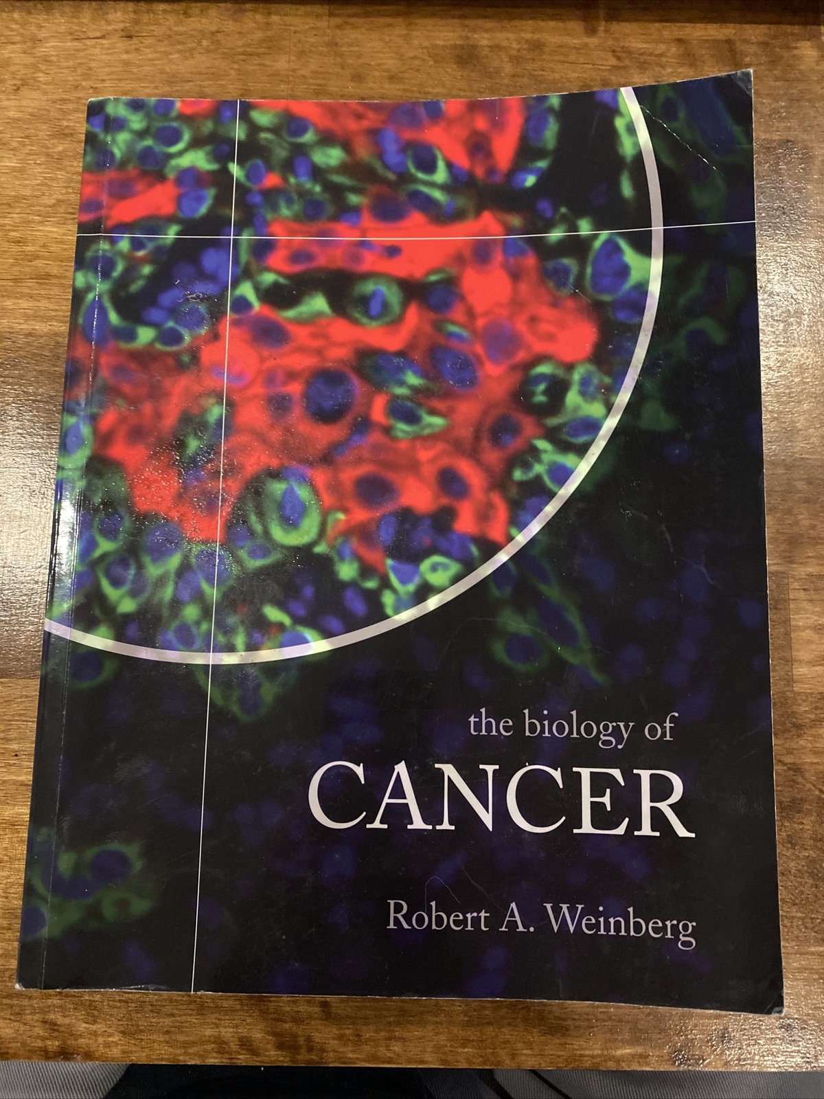 The Biology of Cancer by Robert A. Weinberg (2006, Trade Paperback)