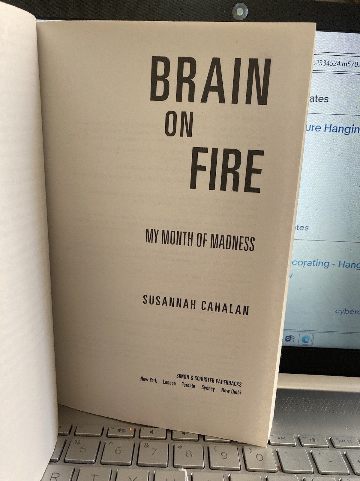 Brain on Fire : My Month of Madness by Susannah Cahalan (2013, Paperback)