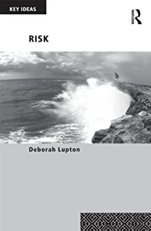 Risk : Second Edition Paperback Deborah Lupton
