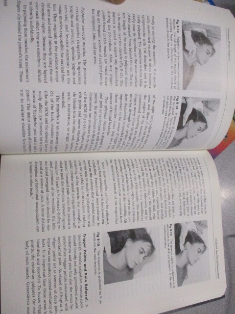 Bell’s Orofacial Pains, Jeffrey P. Okeson