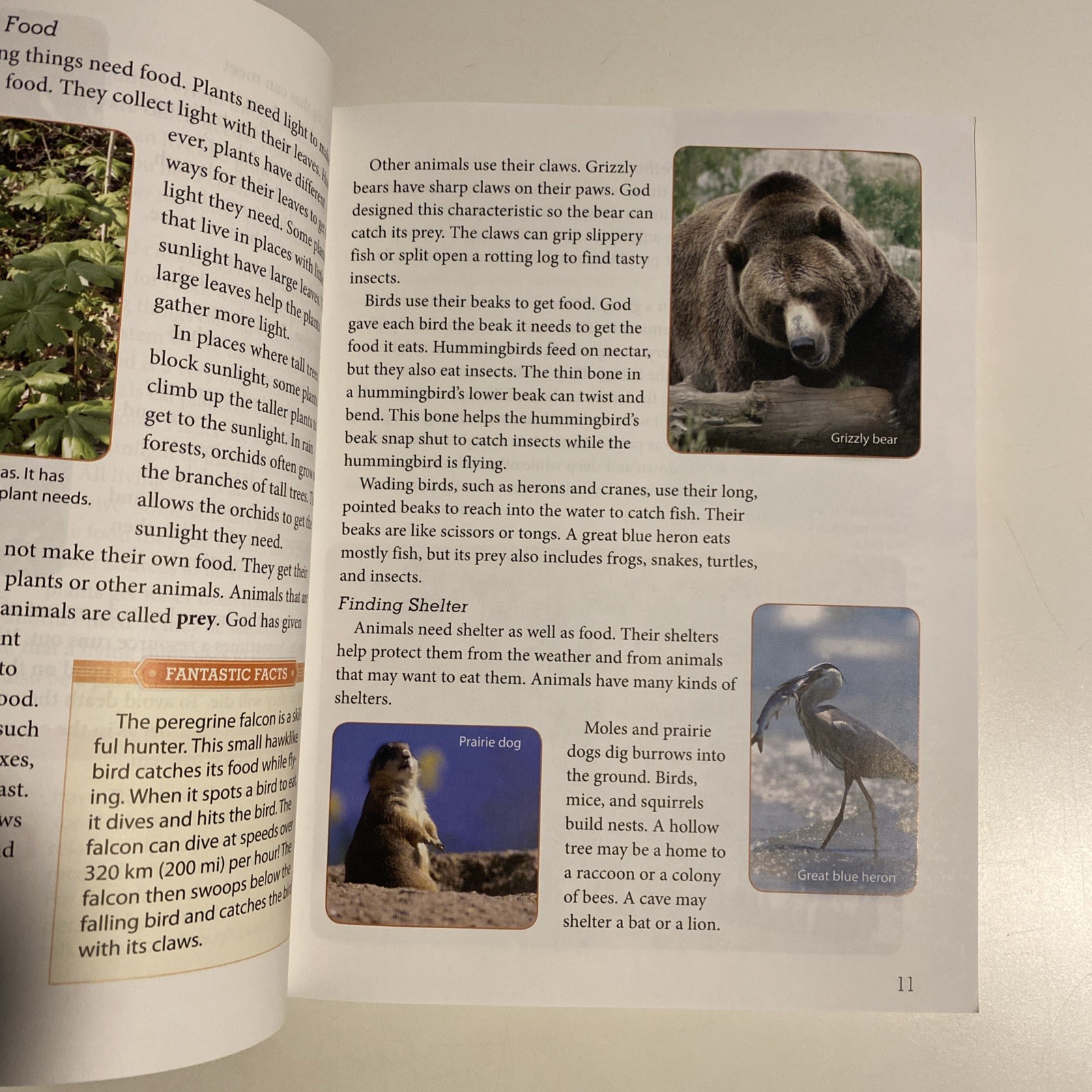 BJU Press Science 4 Student Text 4th Edition Grade 4 Homeschool