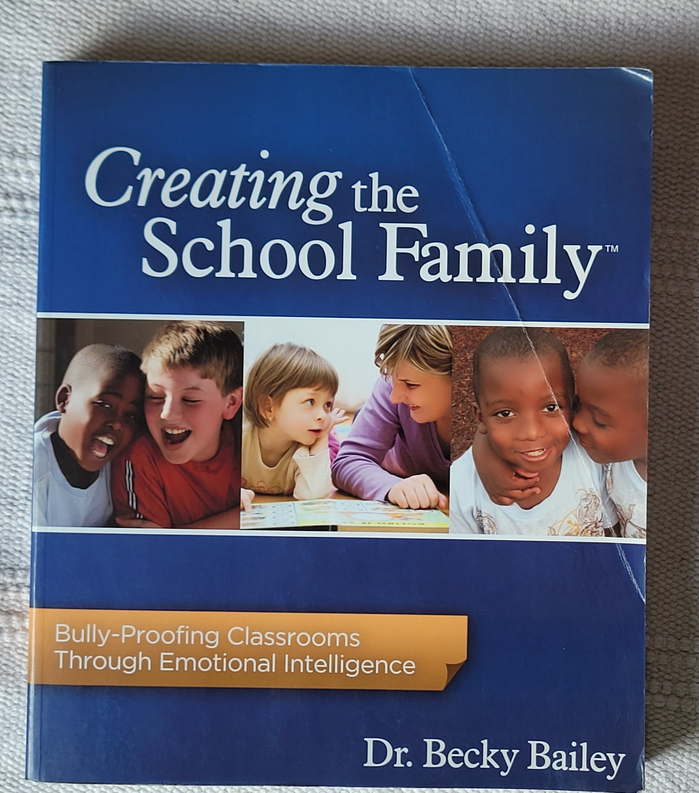 Creating the School Family: Bully-Proofing Classrooms Emotional Intelligence