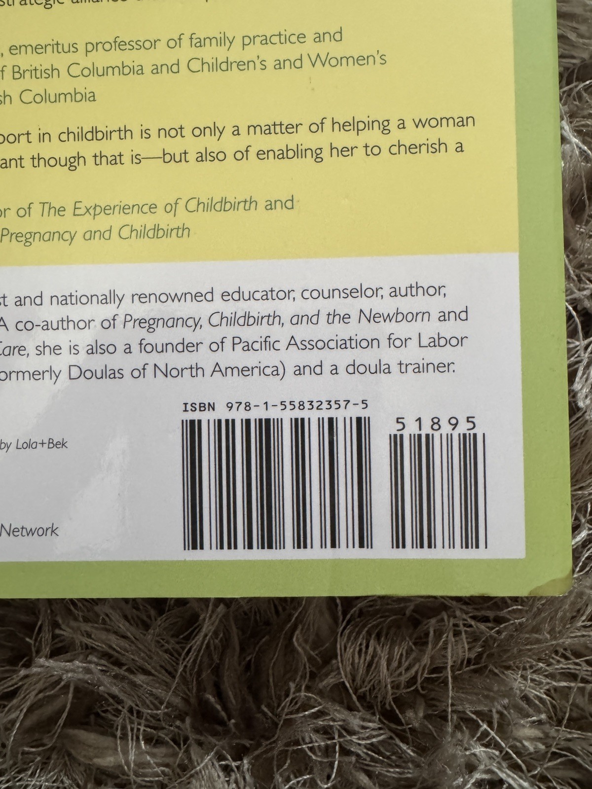 The Birth Partner Penny Simkin – Childbirth Guide for Partners – Brand New