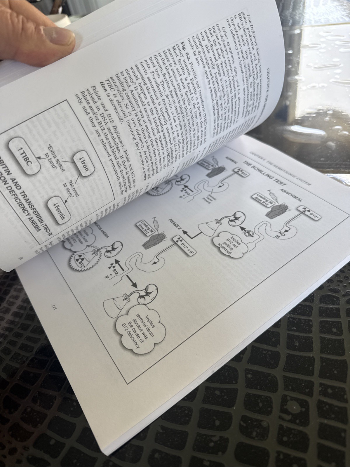 Medmaster Ser.: Clinical Pathophysiology Made Ridiculously Simple by Aaron…