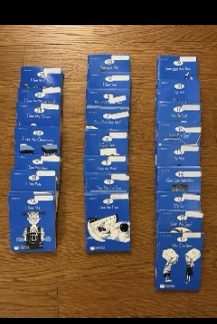 SIPPS Beginning Level Little Books, Readers Lot