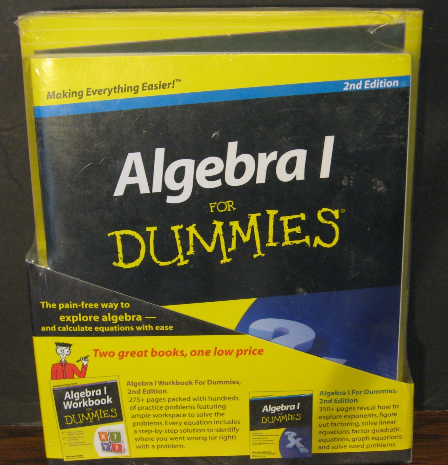 Algebra I for Dummies Book and Workbook 2nd Edition – Unused – Never Opened
