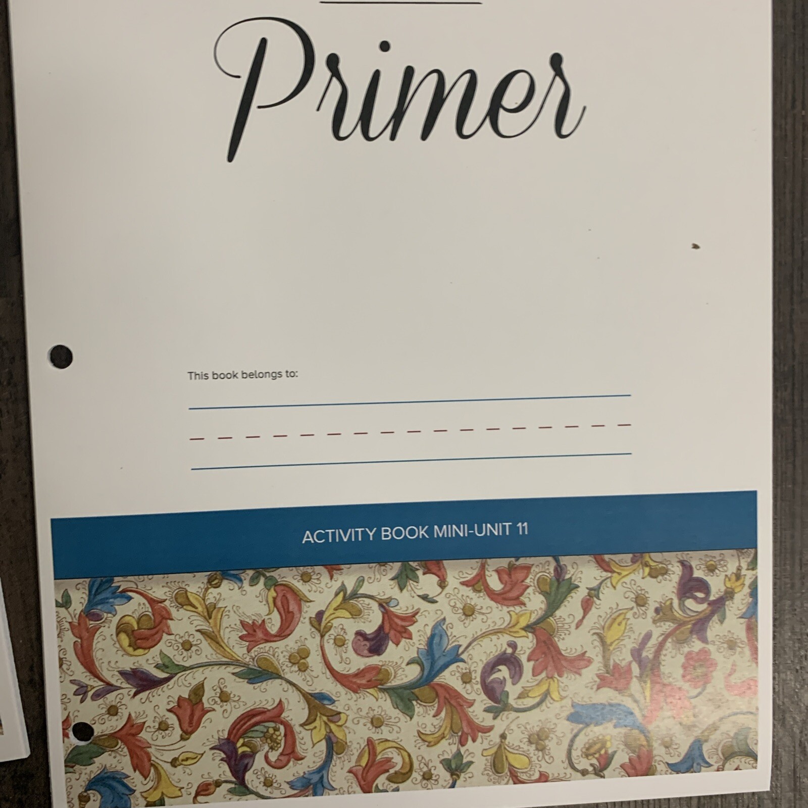 Tapestry of Grace: Primer Activity Book for Mini-Units Set – Units 4-12