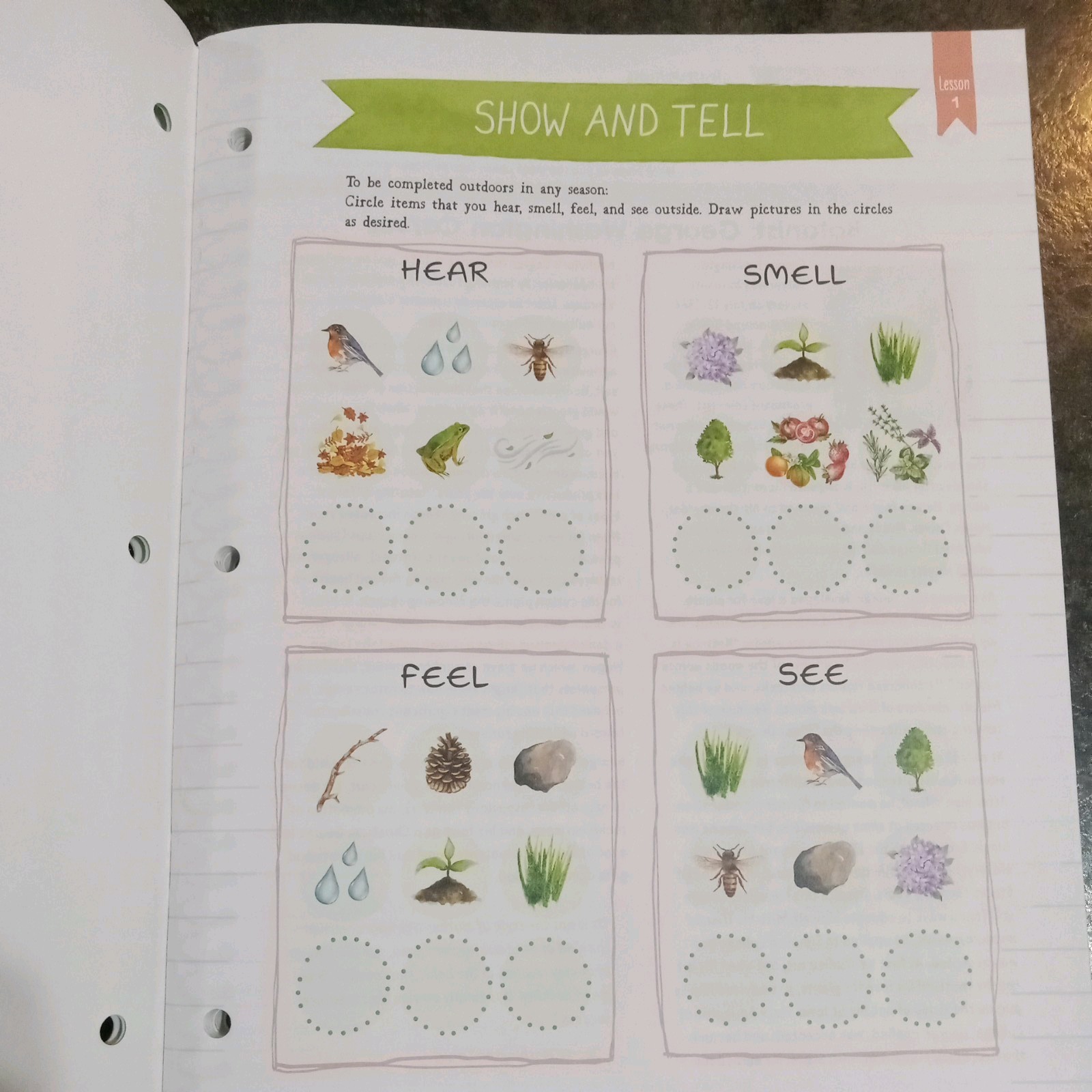 The Good and the Beautiful Botany Student Journal Grades 7-8