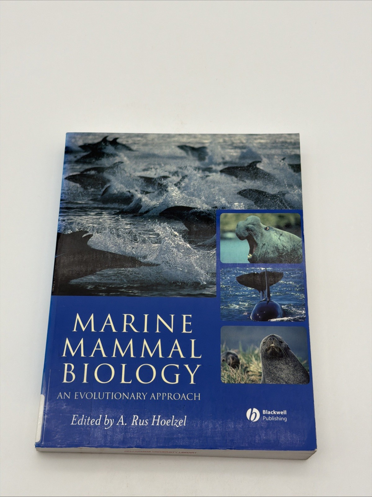 Marine Mammal Biology : An Evolutionary Approach by A. Rus Hoelzel (2002, Trade