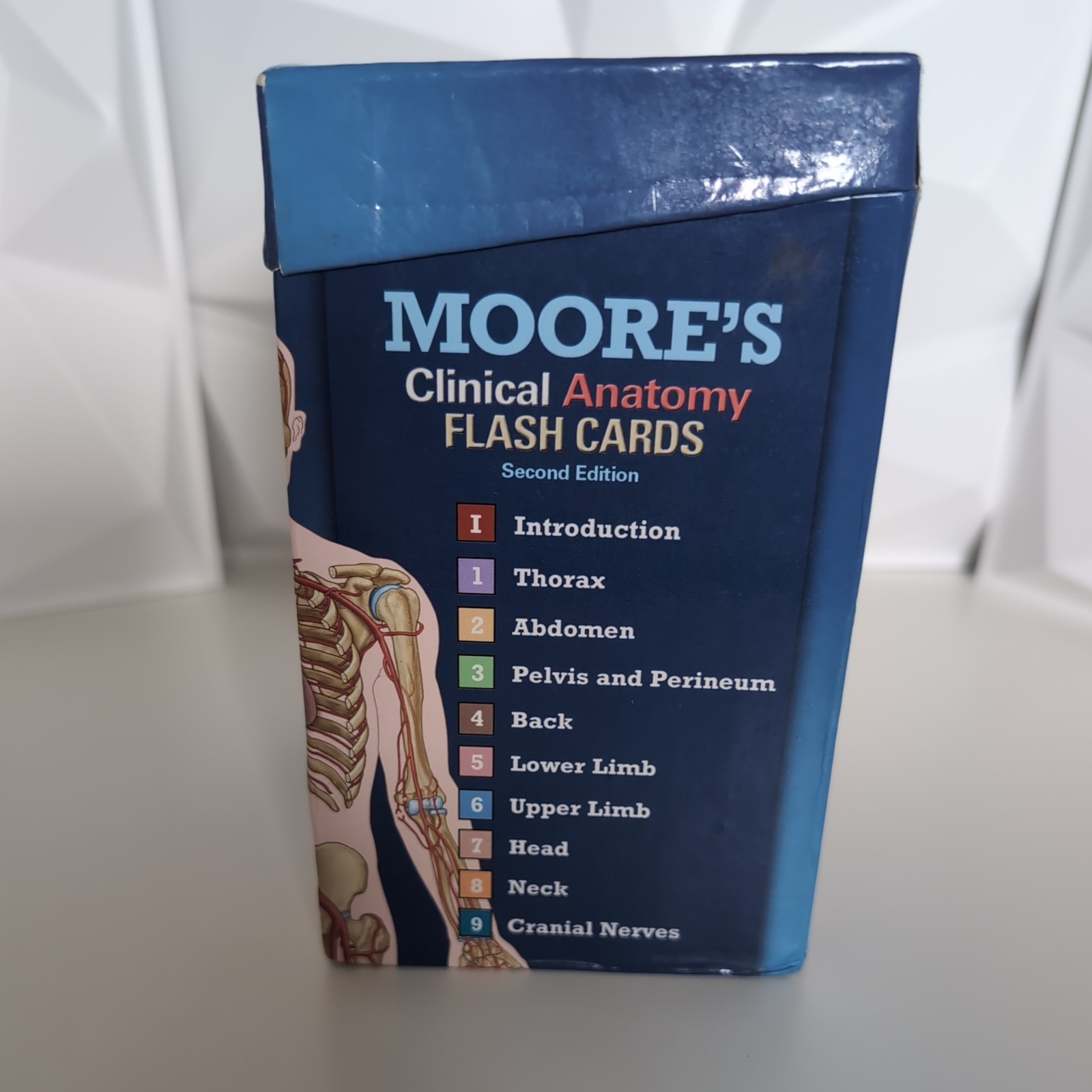 Moore’s Clinical Anatomy Flash Cards 2nd Edition by Gould PhD Douglas J.