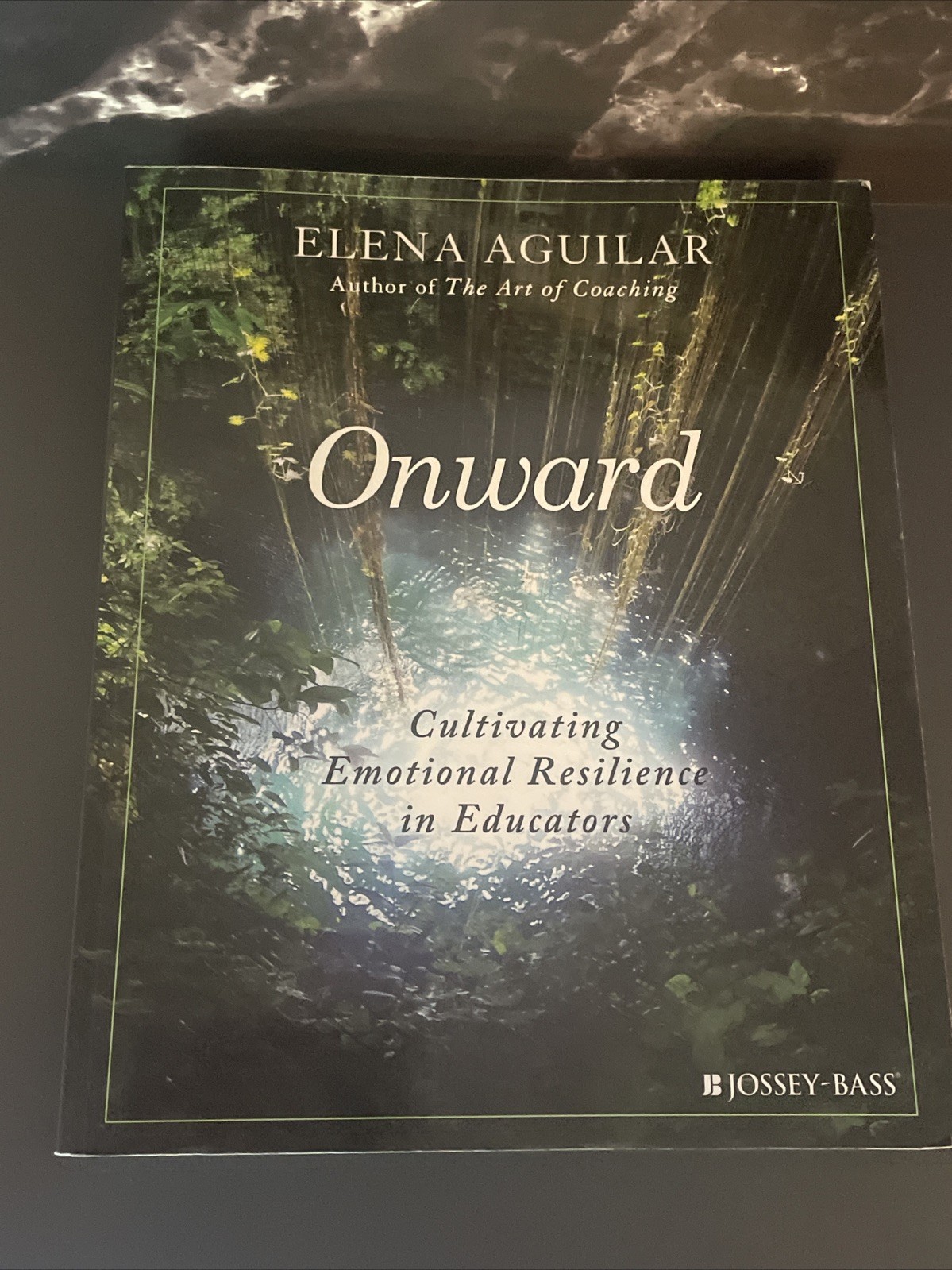 Onward : Cultivating Emotional Resilience in Educators by Elena Aguilar…