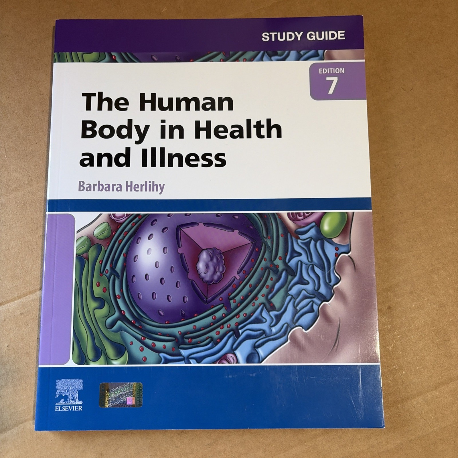Study Guide for The Human Body in Health and Illness 7th Ed – Barbara Herlihy