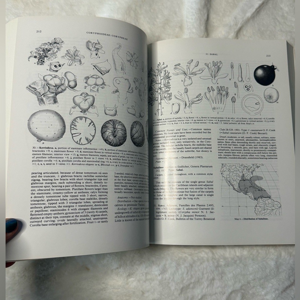 Genera Palmarum: A Classification of Palms Based on Work of Harold E. Moore Jr.