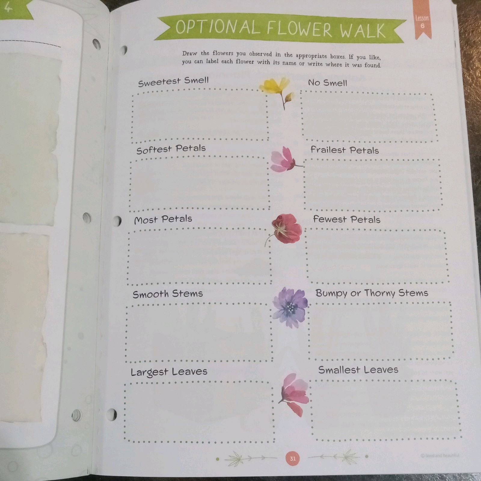 The Good and the Beautiful Botany Student Journal Grades 7-8