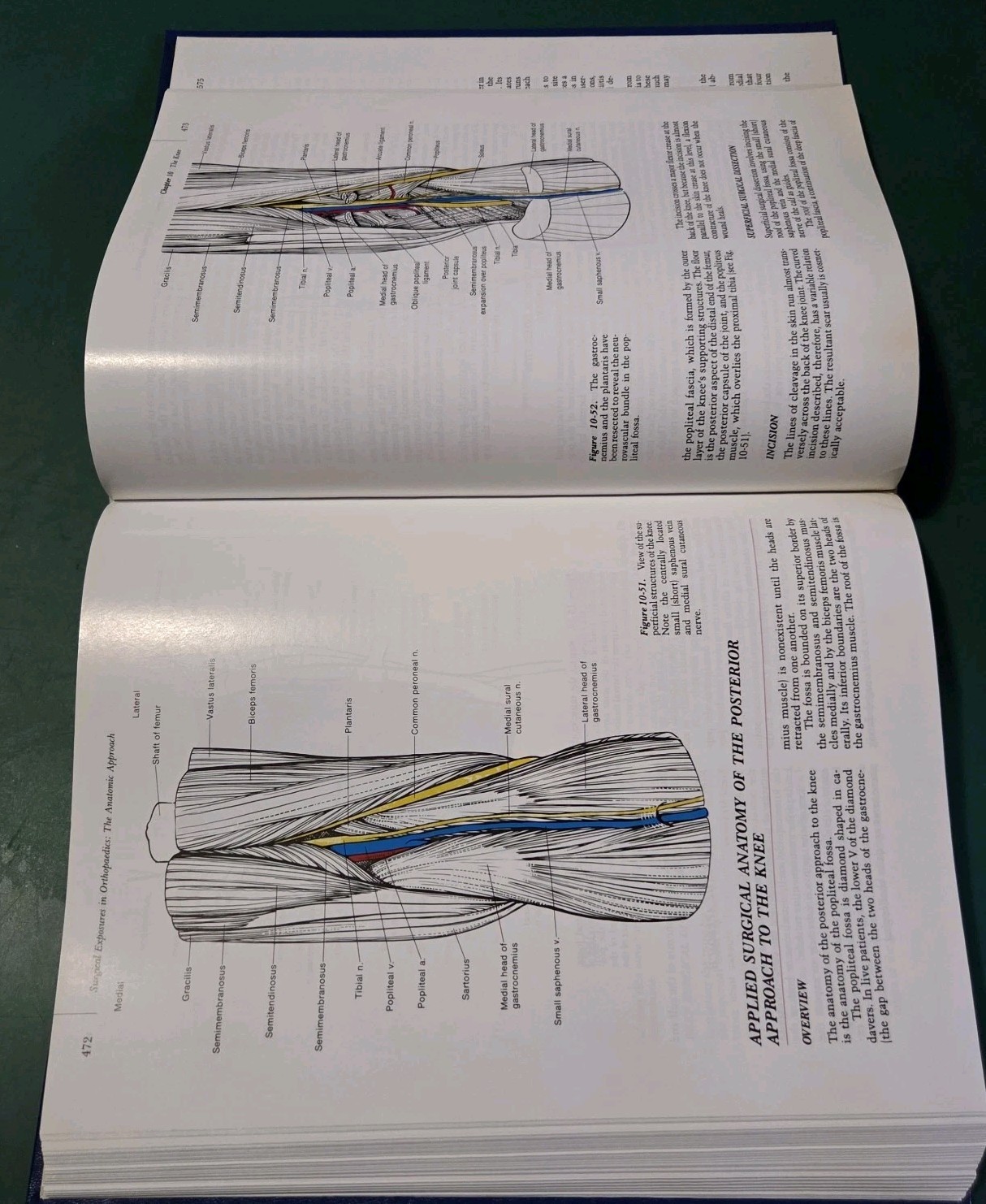 HC Surgical Exposures in Orthopaedics Hardcover Stanley Hoppenfeld 2nd Edition