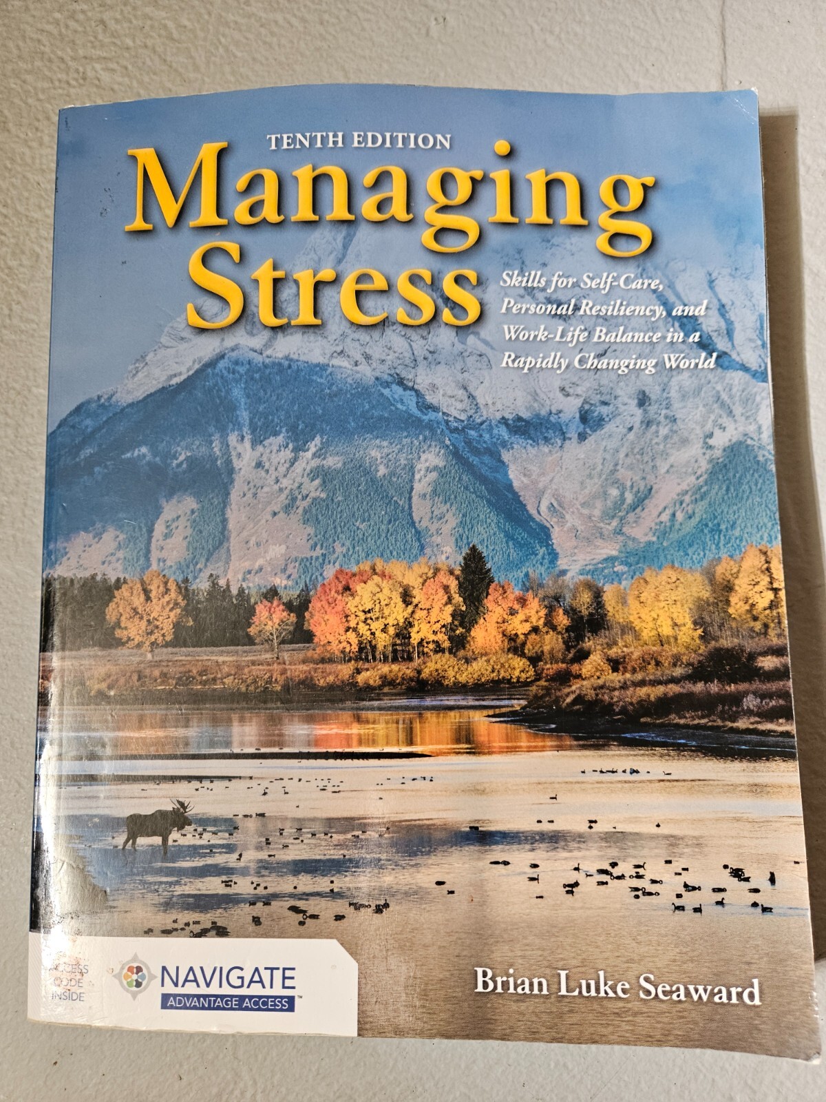 Essentials of Managing Stress by Brian Luke Seaward