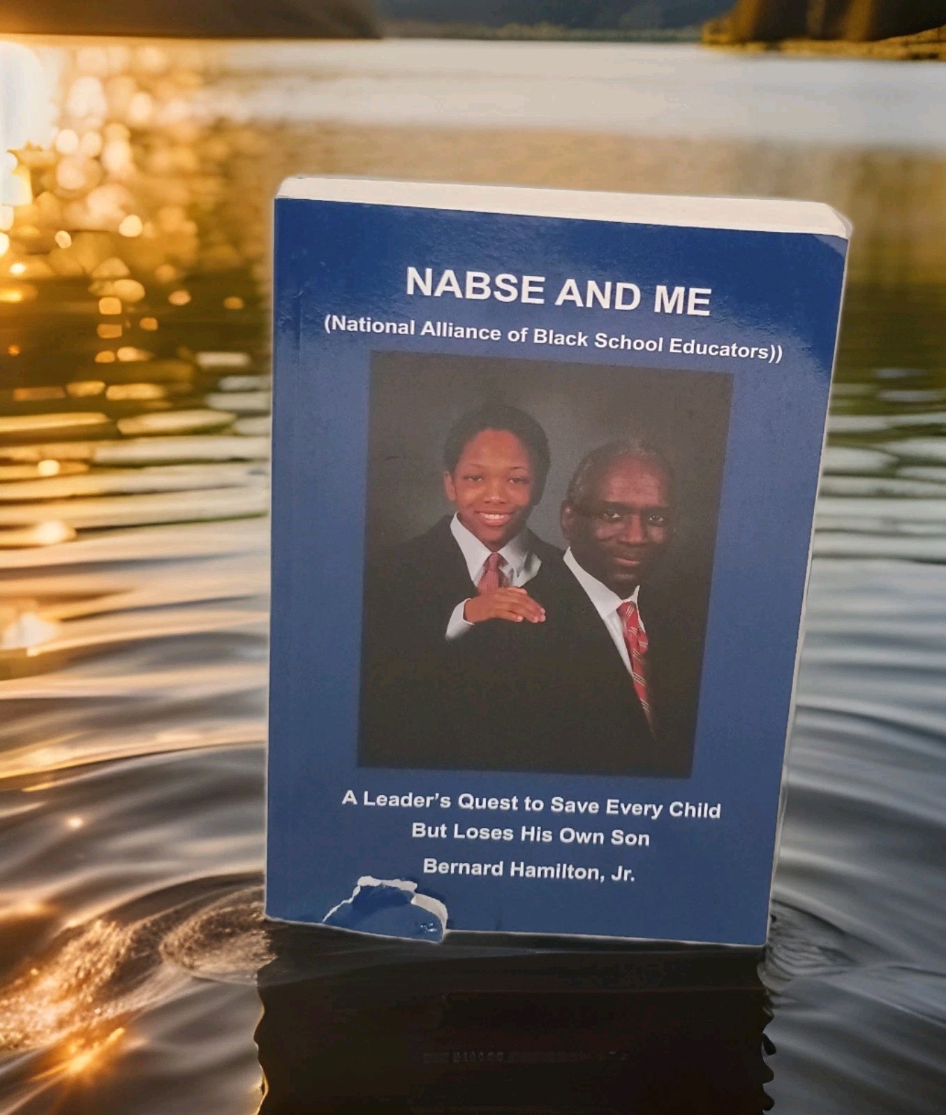 NABSE And ME (National Alliance Of Black School Educators): By Bernard Hamilton
