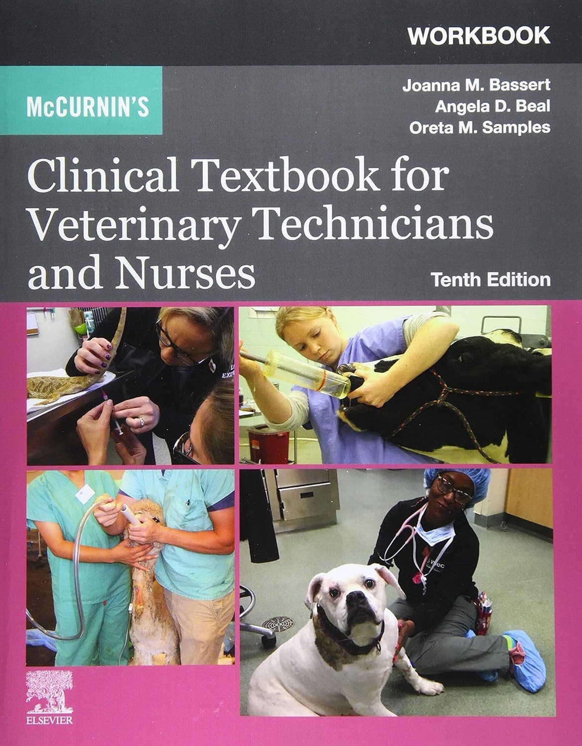 Hardcover book and softcover workbook included clinical textbook for vet nurses