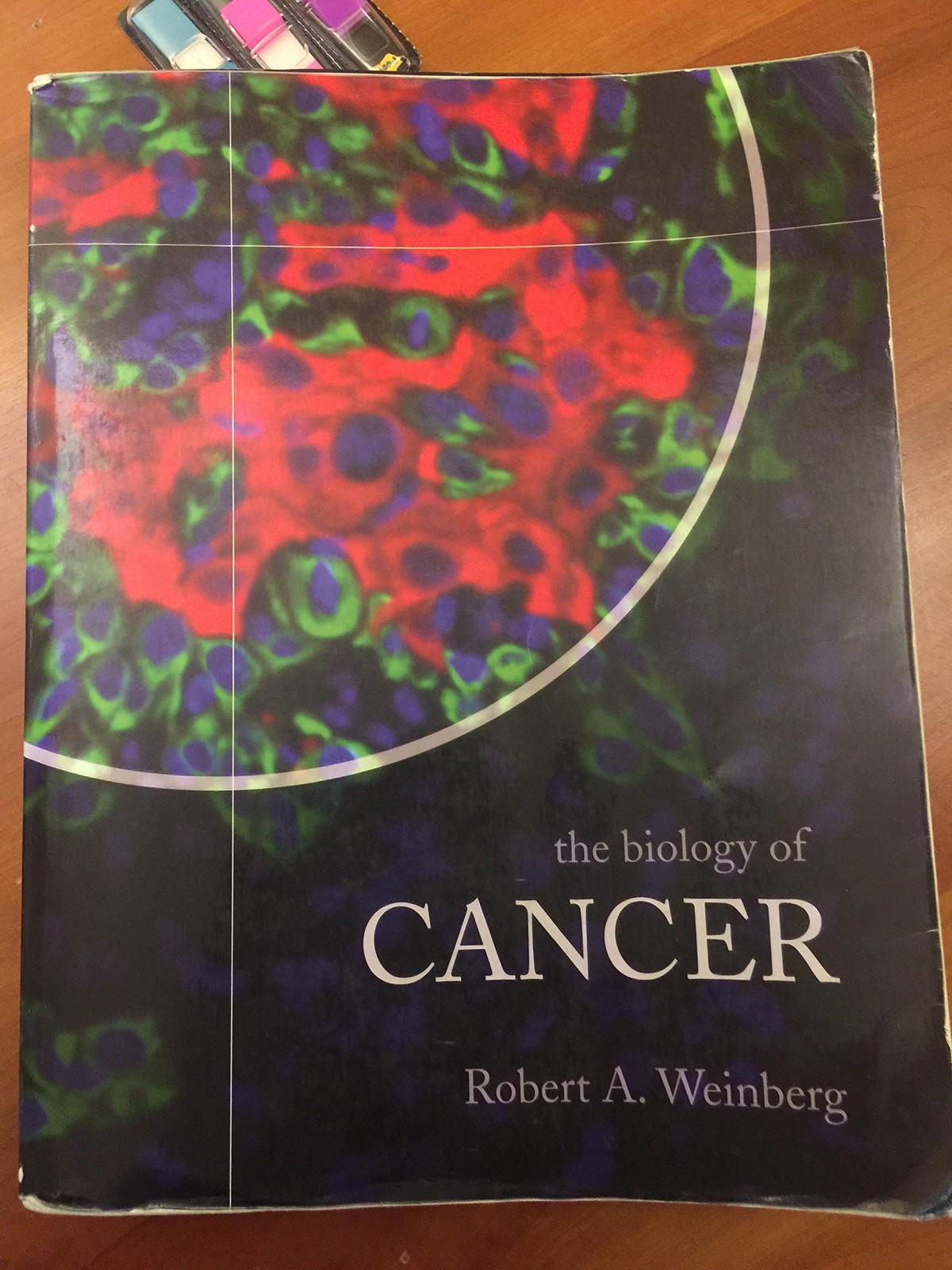 The Biology of Cancer – paperback Weinberg, Robert A.
