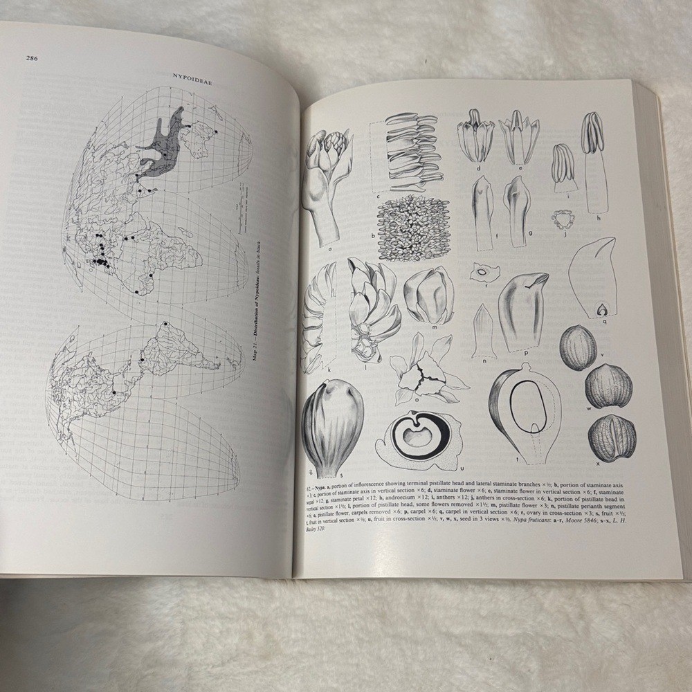Genera Palmarum: A Classification of Palms Based on Work of Harold E. Moore Jr.
