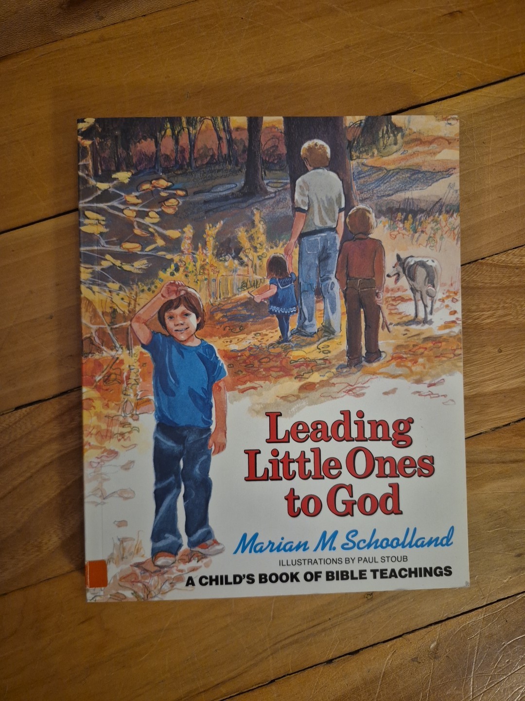 Leading Little Ones to God A Child’s Book of Bible Teaching Marian M Schoolland