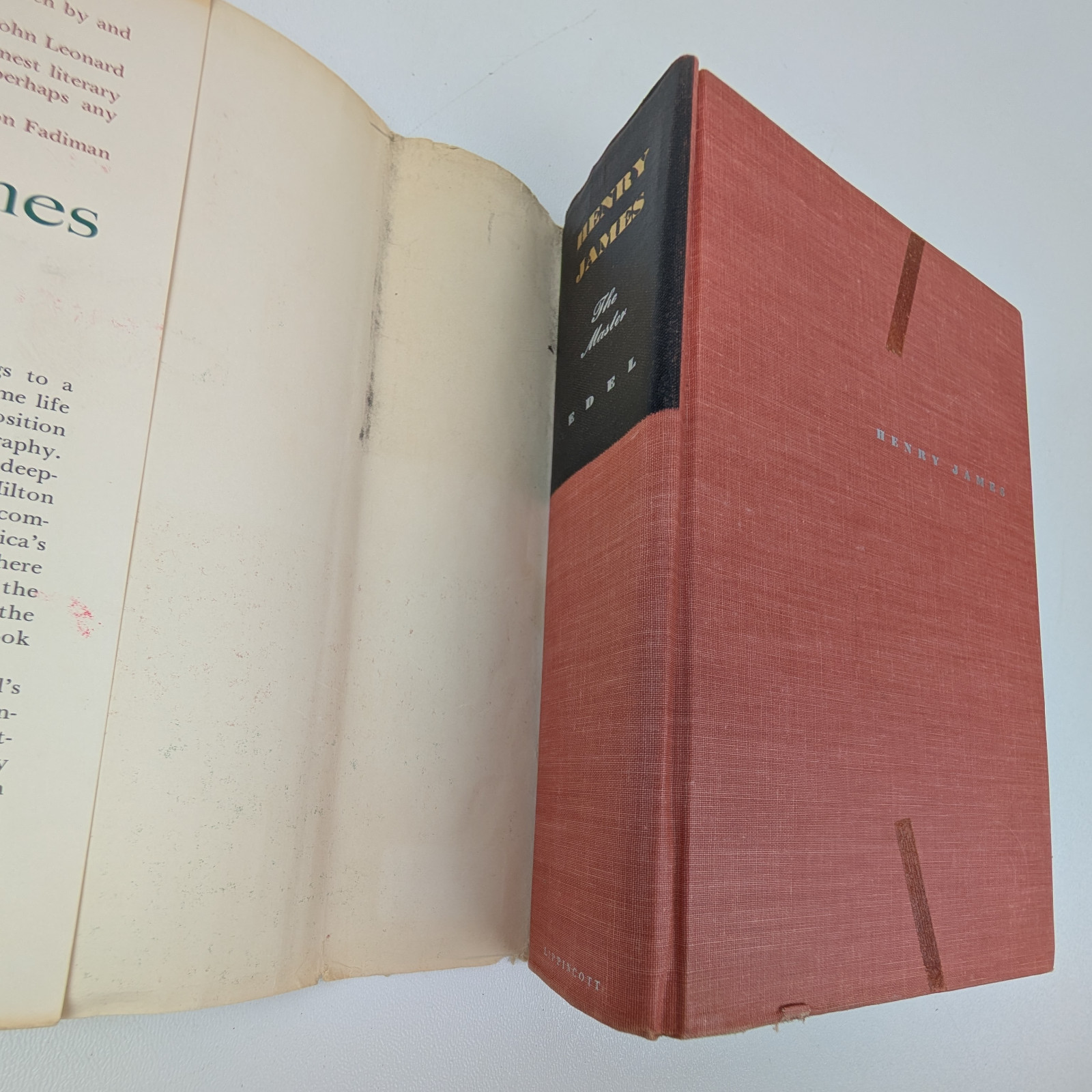 Henry James: The Master (1901-1916) by Leon Edel – 1972, First Edition, HC DJ