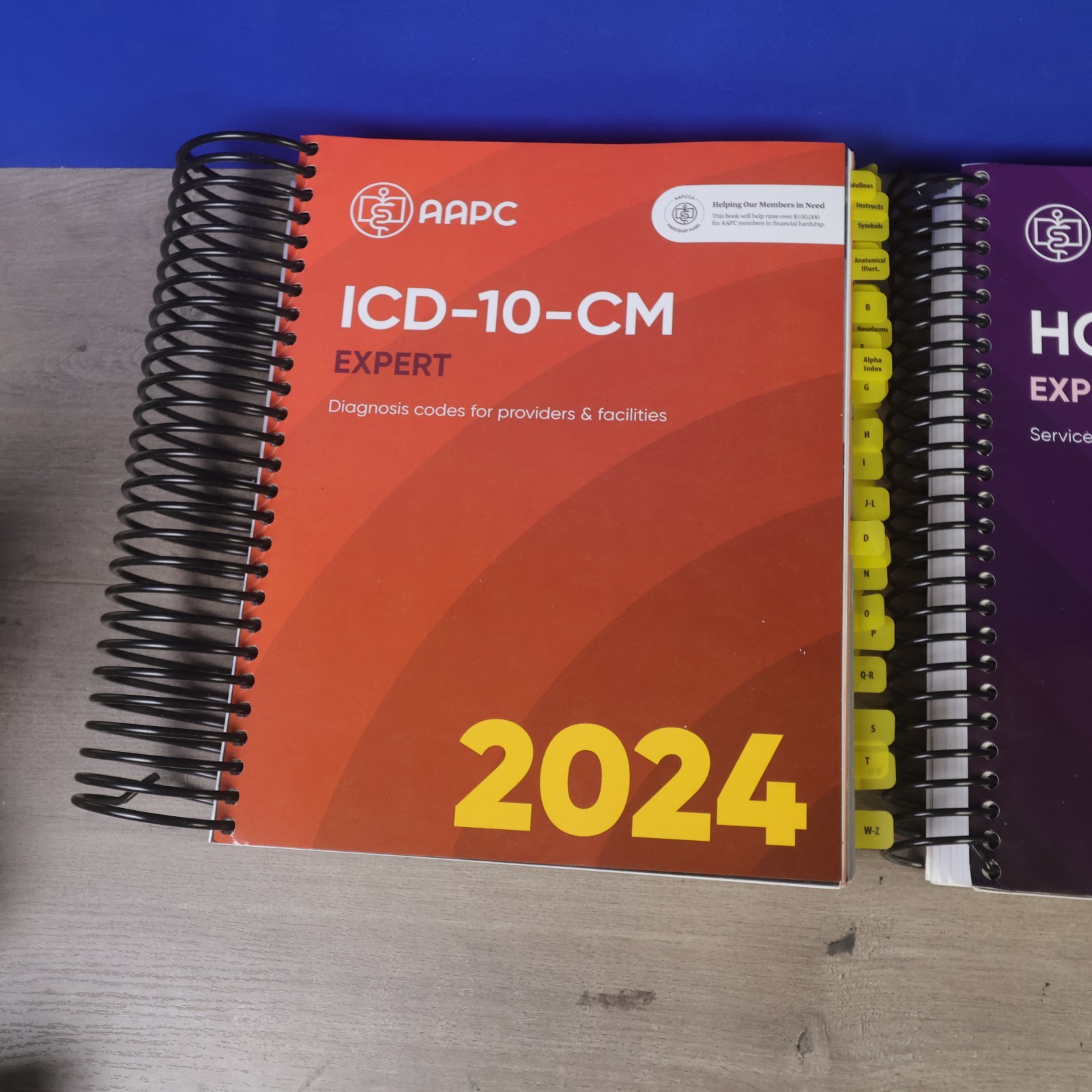 2024 ICD-10-CM & HCPCS Level II Expert Code Book Lot AAPC Spiral EUC