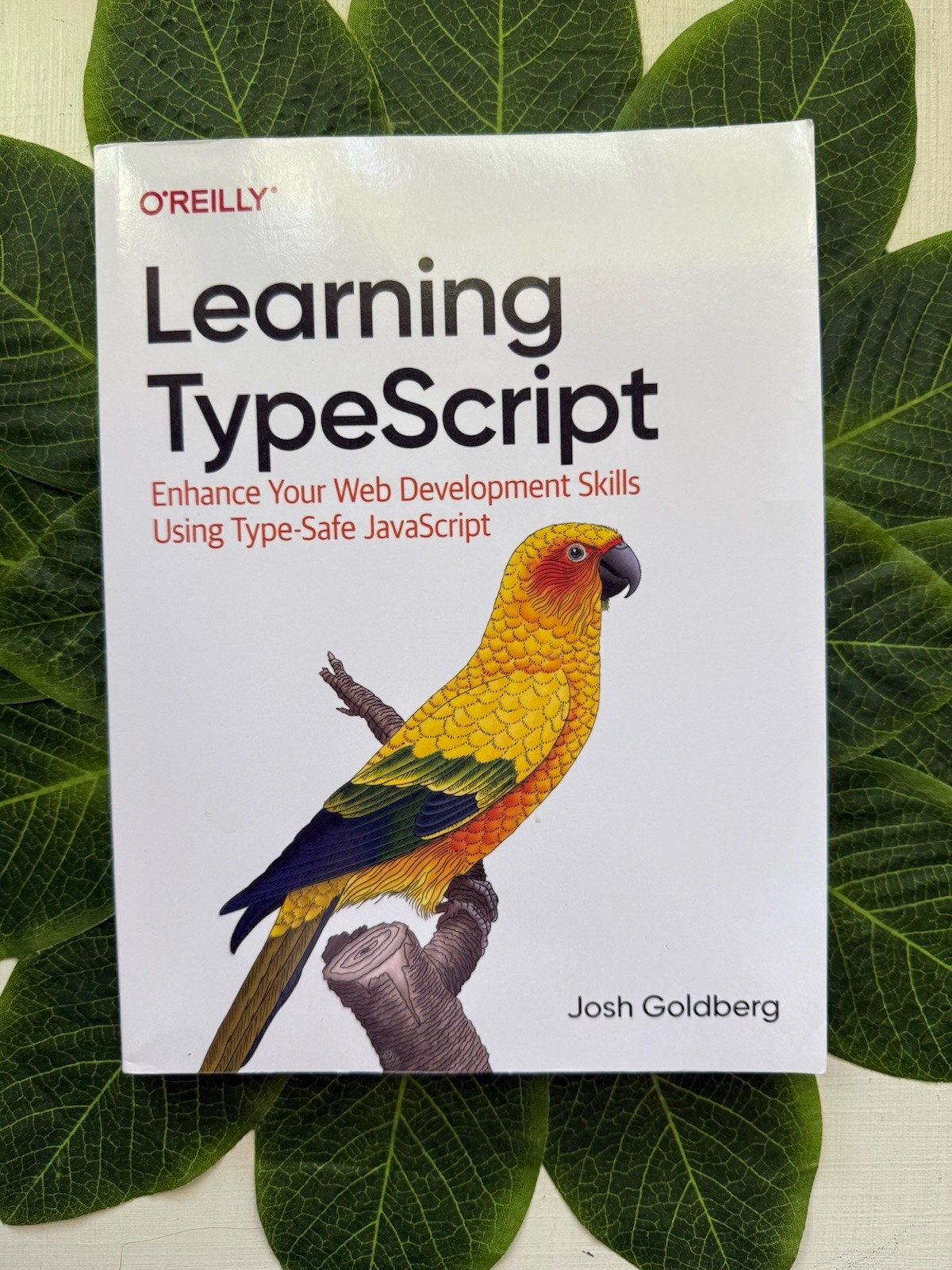 Learning Typescript By O’Reilly. Used Like New. Free Shipping.