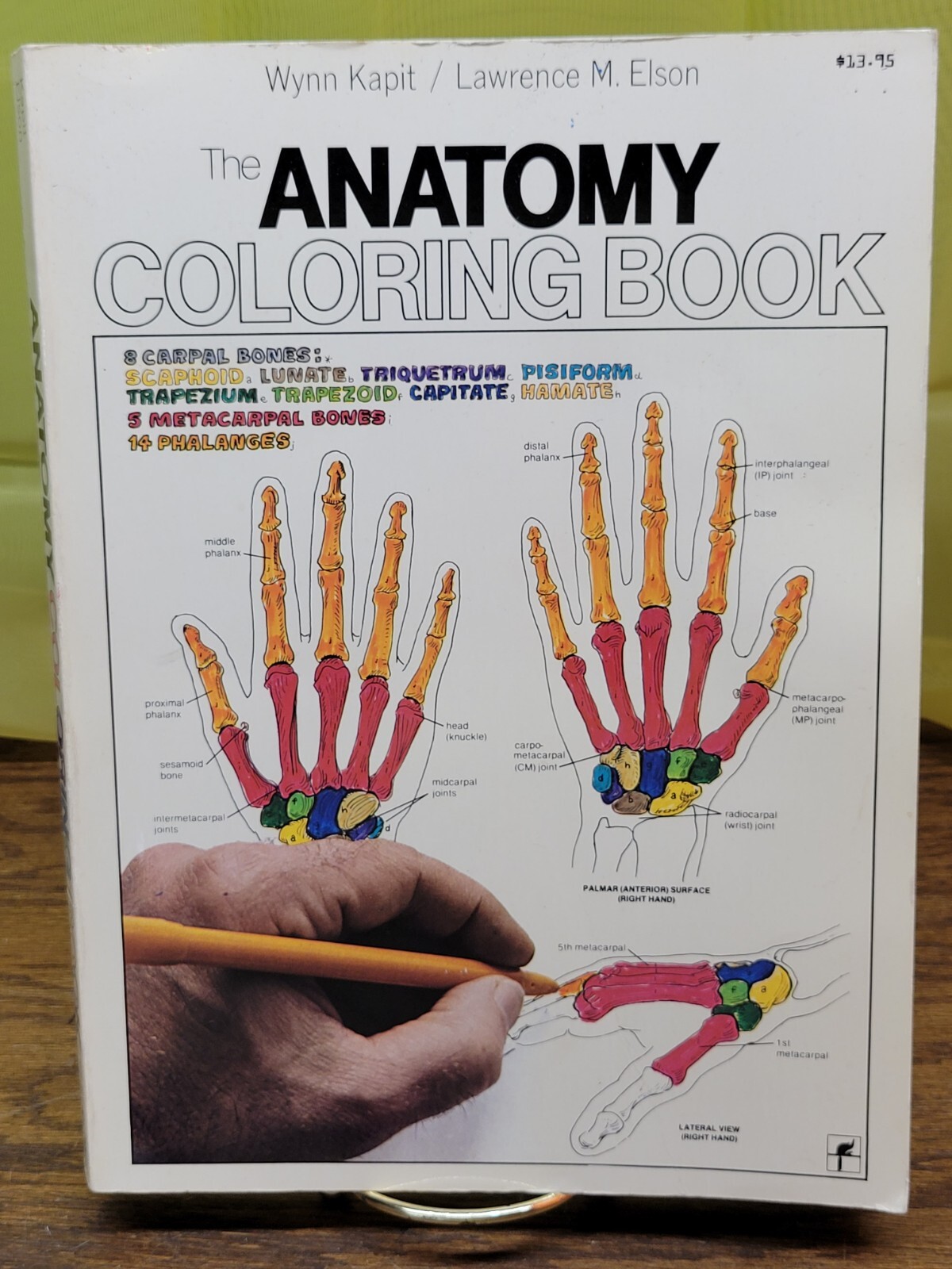 The Anatomy Coloring Book by Lawrence M. Elson and Wynn Kapit (Trade Paperback)