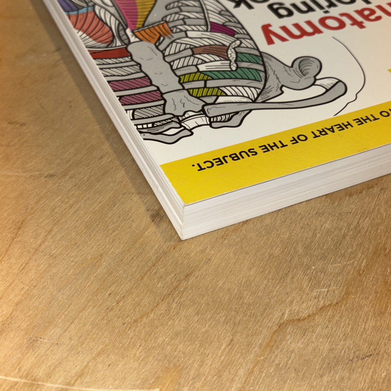 Anatomy Coloring Workbook, 4th Edition: An Easier and Better Way to Learn…