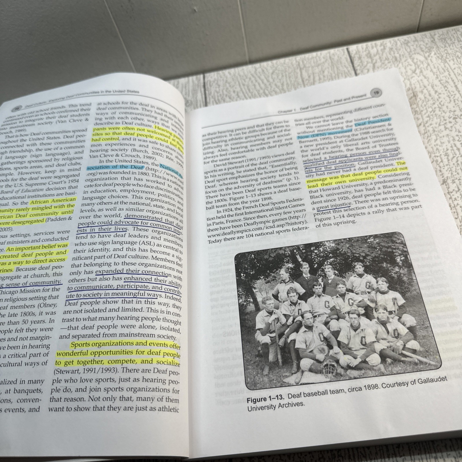 Deaf Culture by Raylene Paludneviciene, Jean F. Andrews and Irene W. Leigh…