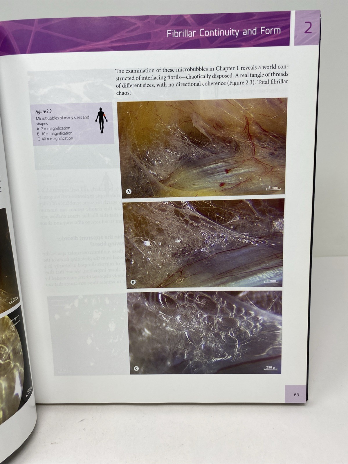 Architecture of Human Living Fascia (2015, Hardcover + DVD, Clean Pages)
