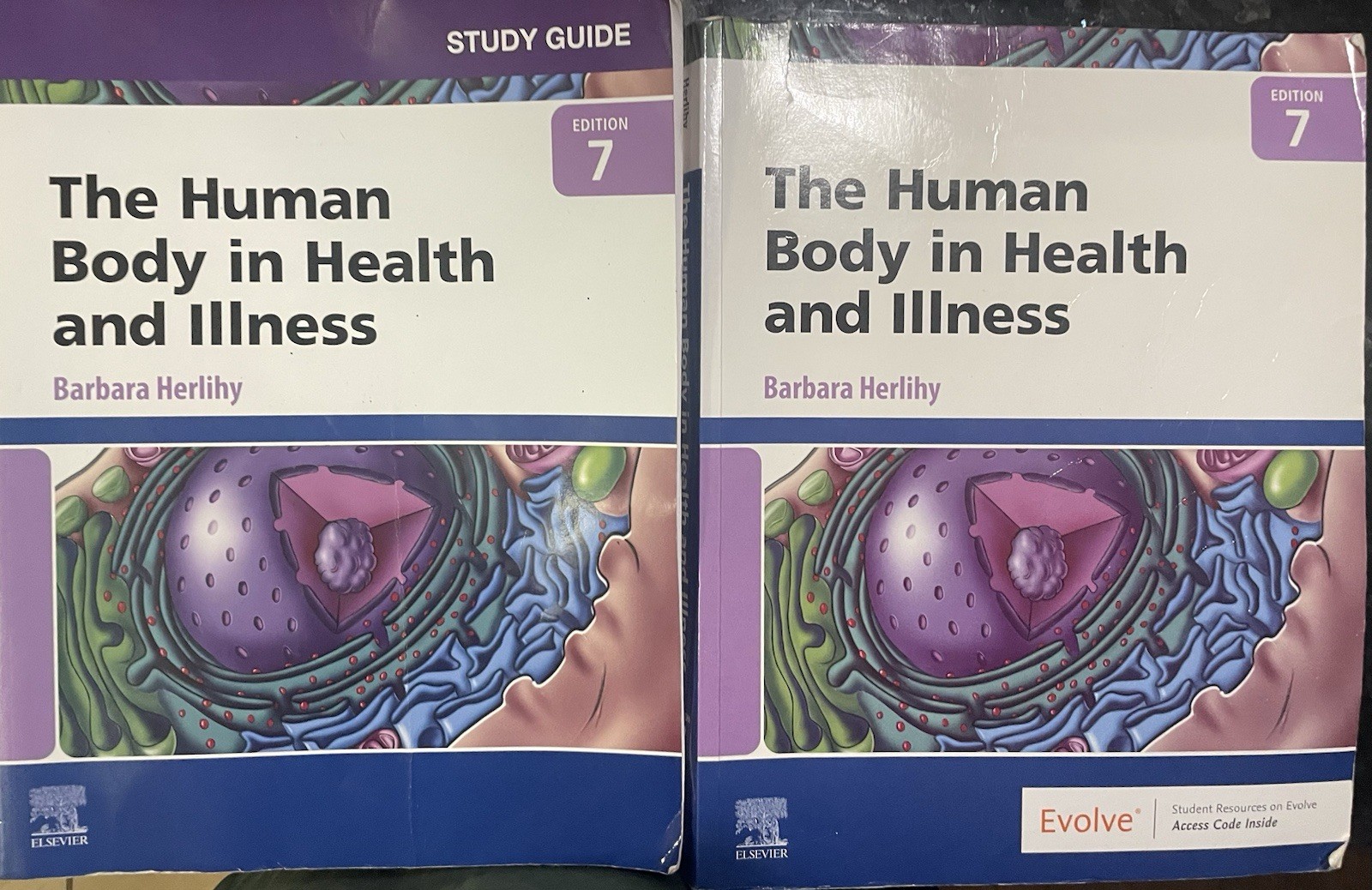 The Human Body in Health and Illness – Paperback 7th Edition + Study Guide