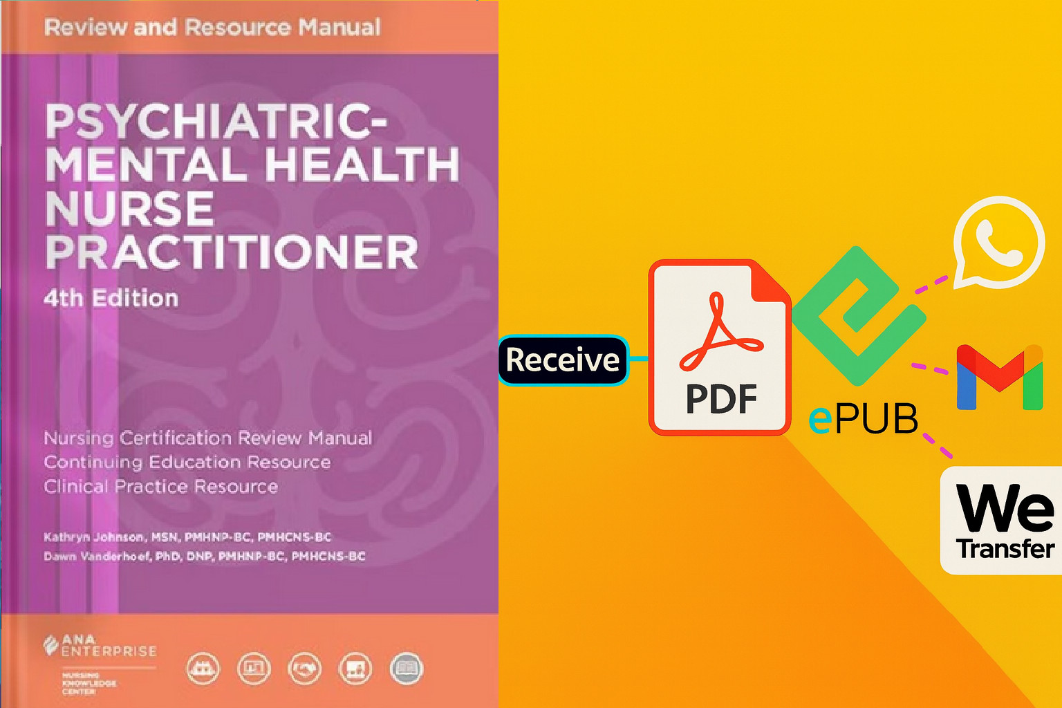 Psychiatric-Mental Health Nurse Practitioner Review and Resource Manual pdf/usb