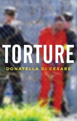 Donatella Di Cesare Torture (Paperback) (UK IMPORT)