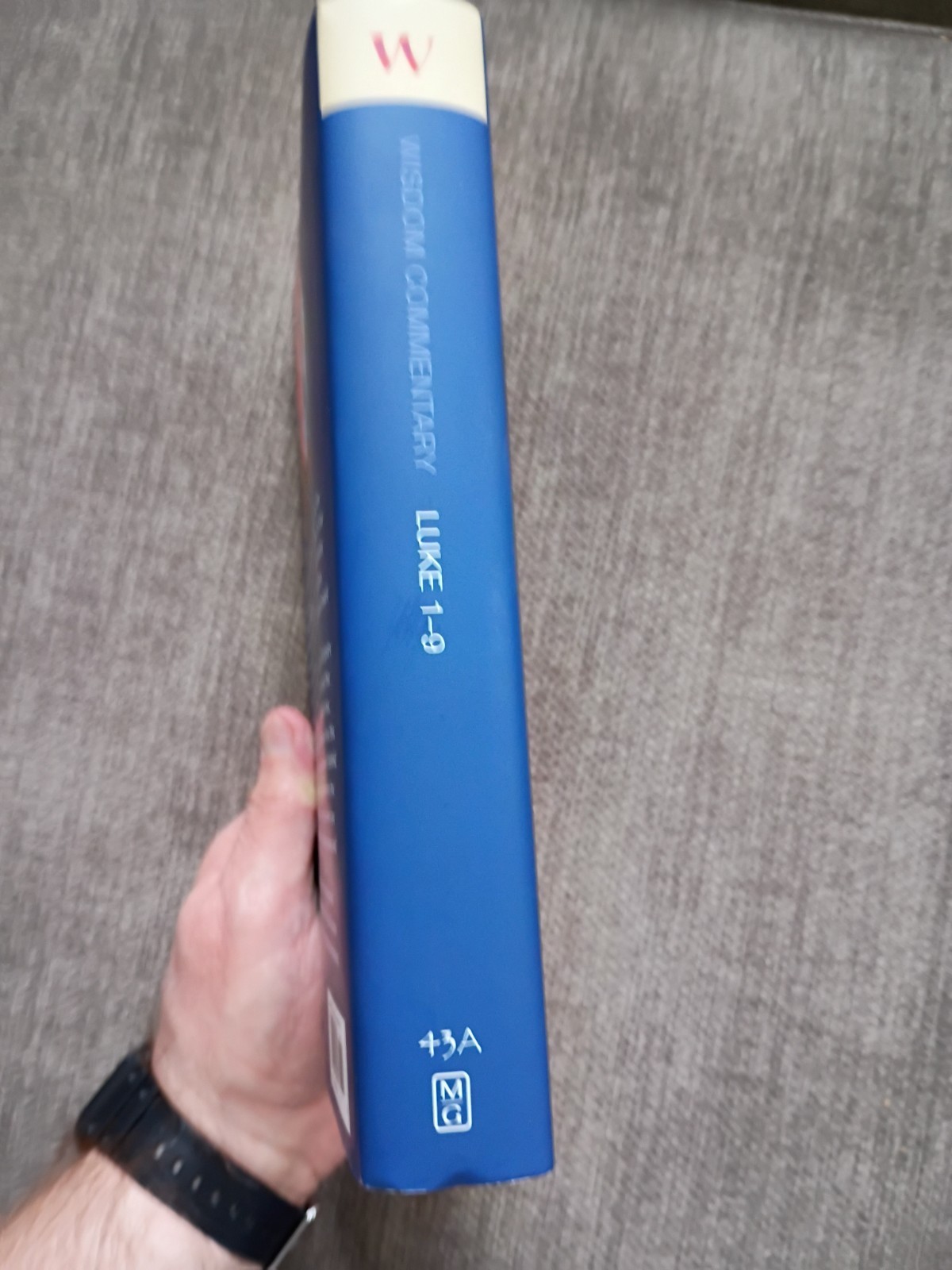 Luke 1–9 (Volume 43A) Wisdom Commentary Series Barbara Reid Shelly Matthews 2021