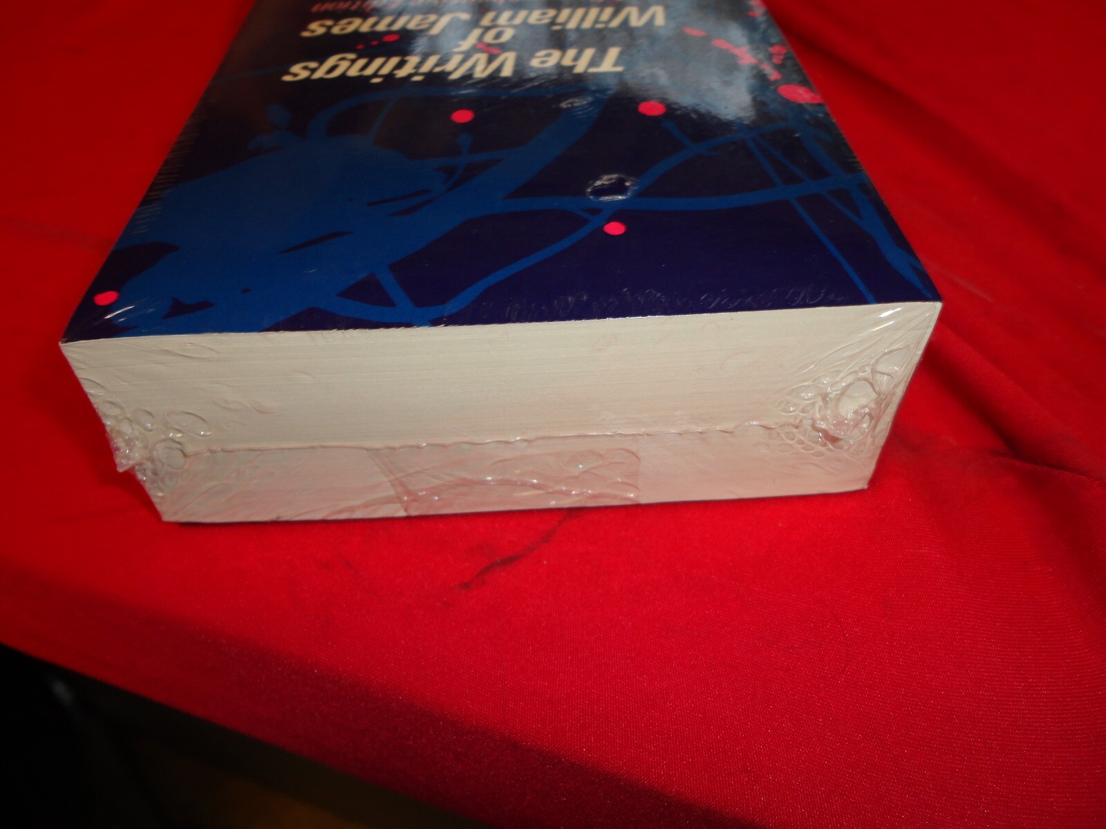 William James The Writings of William James (Paperback) NEW B2