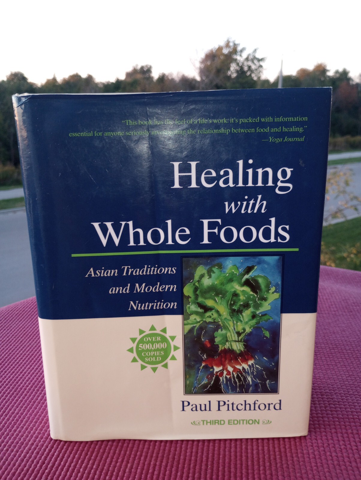 Healing with Whole Foods, 3E – Hardcover, by Pitchford Paul – Good Condition.
