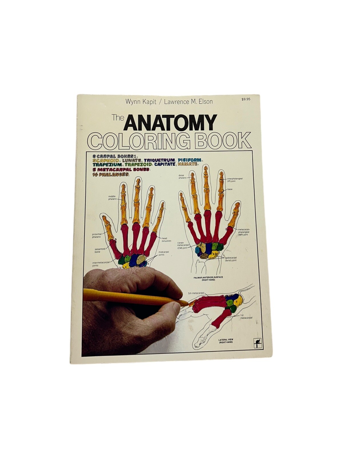 The Anatomy Coloring Book – Paperback By Kapit, Wynn