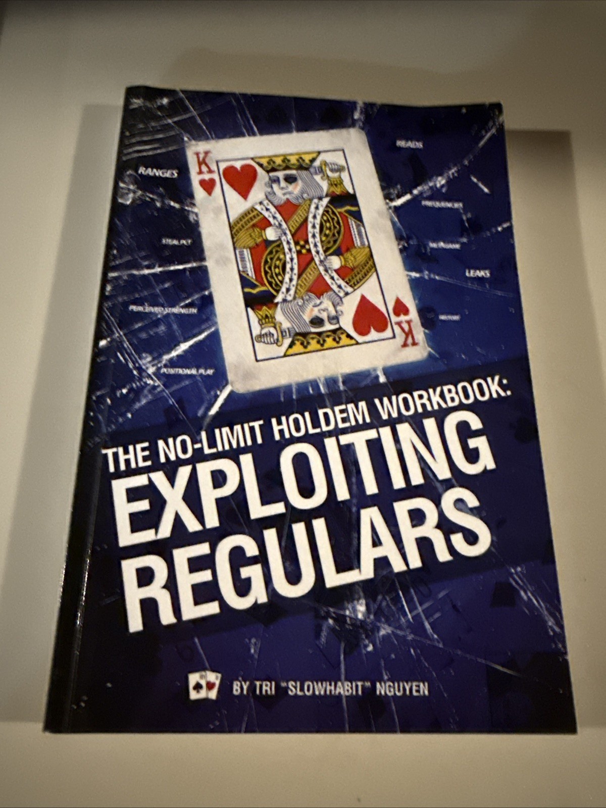 No-Limit Holdem Workbook :Exploiting Regulars by Tri Nguyen (2009, Paperback)