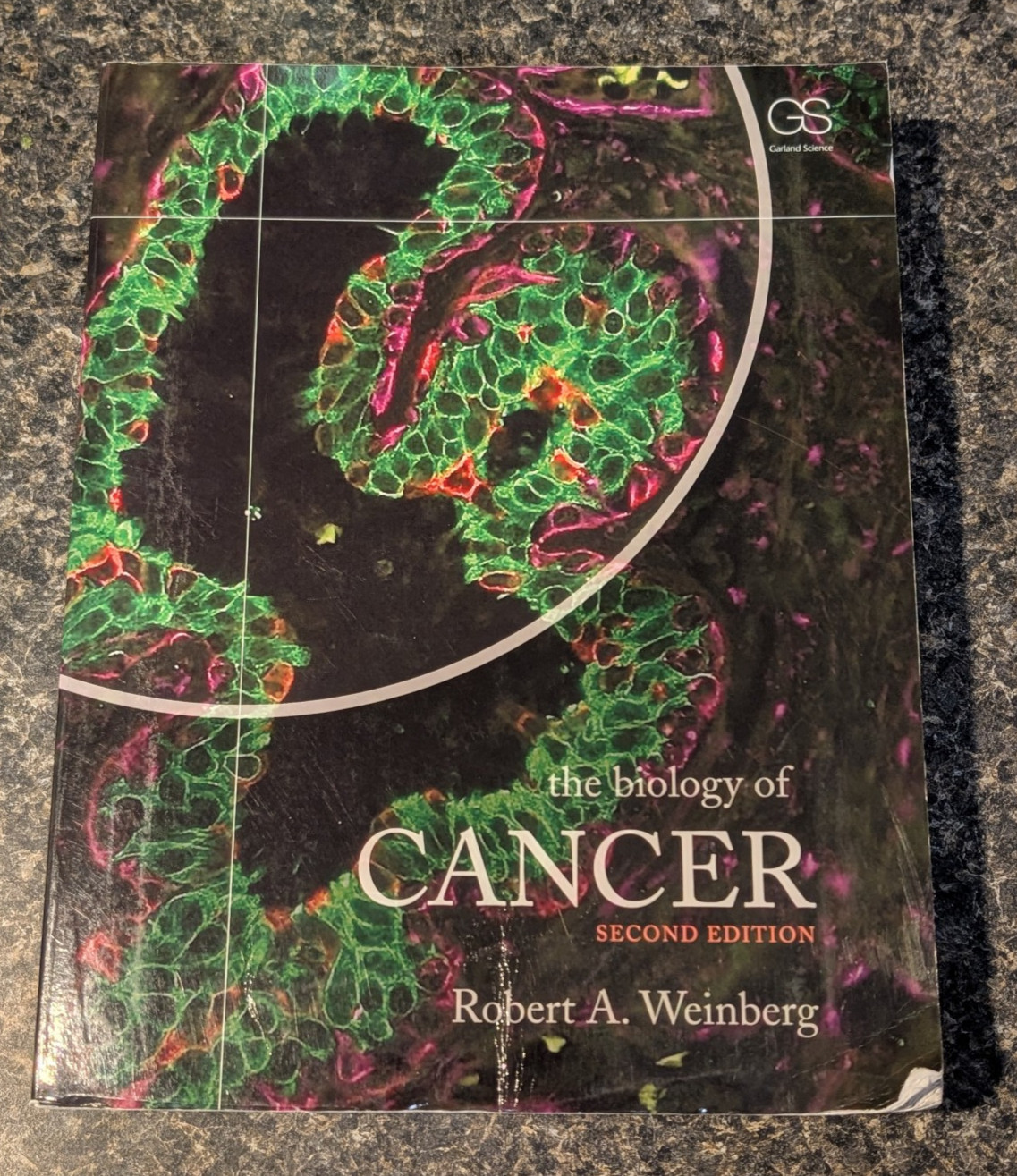 Biology of Cancer by Robert A. Weinberg (2013, Uk-B Format Paperback) plus CD