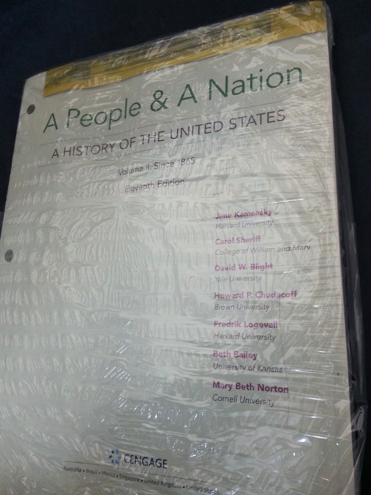 People and a Nation Vol. II: Since 1865 Kamensky Cengage 2018 SC LN 250213