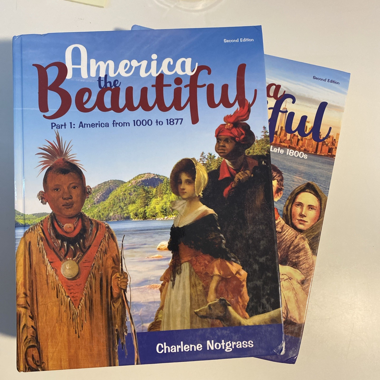 Notgrass America the Beautiful Book Set, Part 1 & 2, Like New