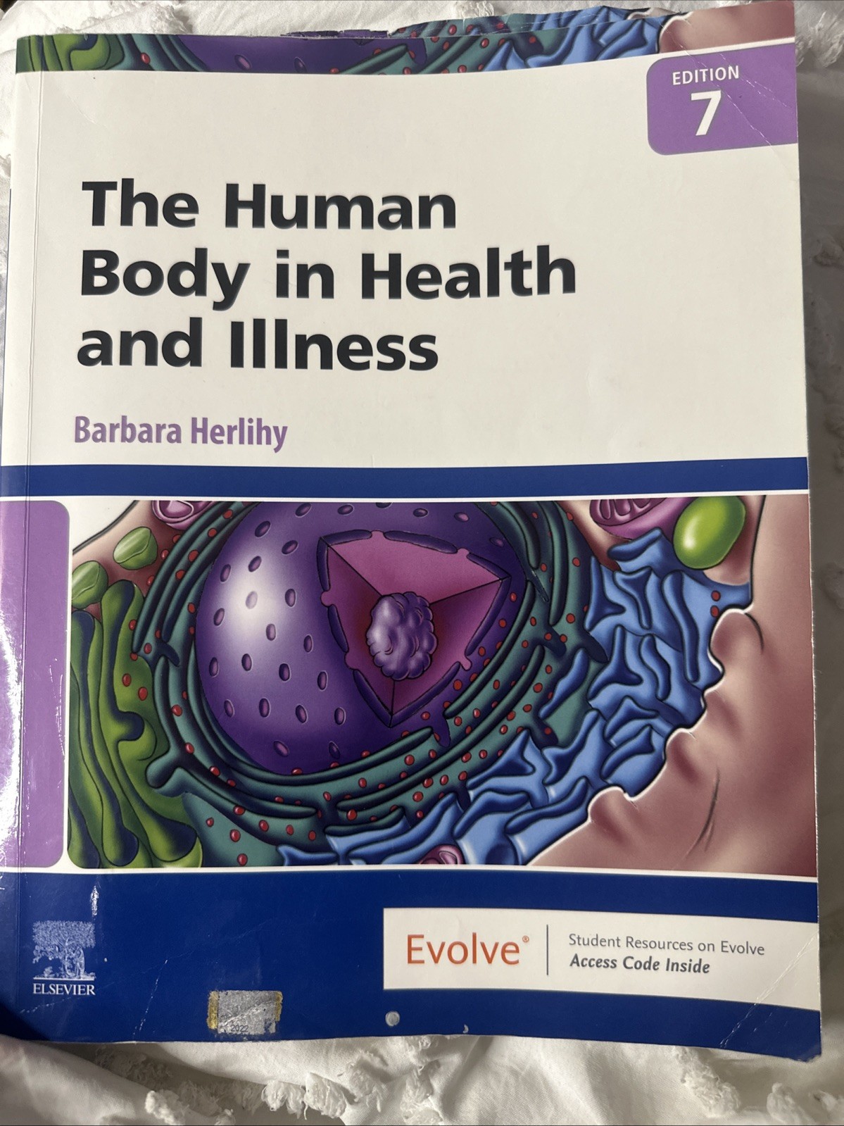 Human Body in Health and Illness by Barbara Herlihy (2021, Trade Paperback)