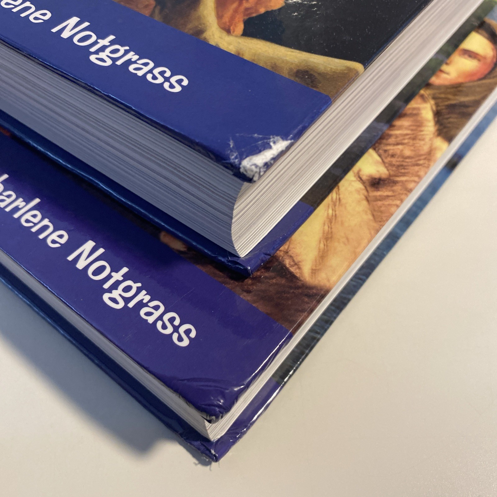 Notgrass America the Beautiful Book Set, Part 1 & 2, Like New