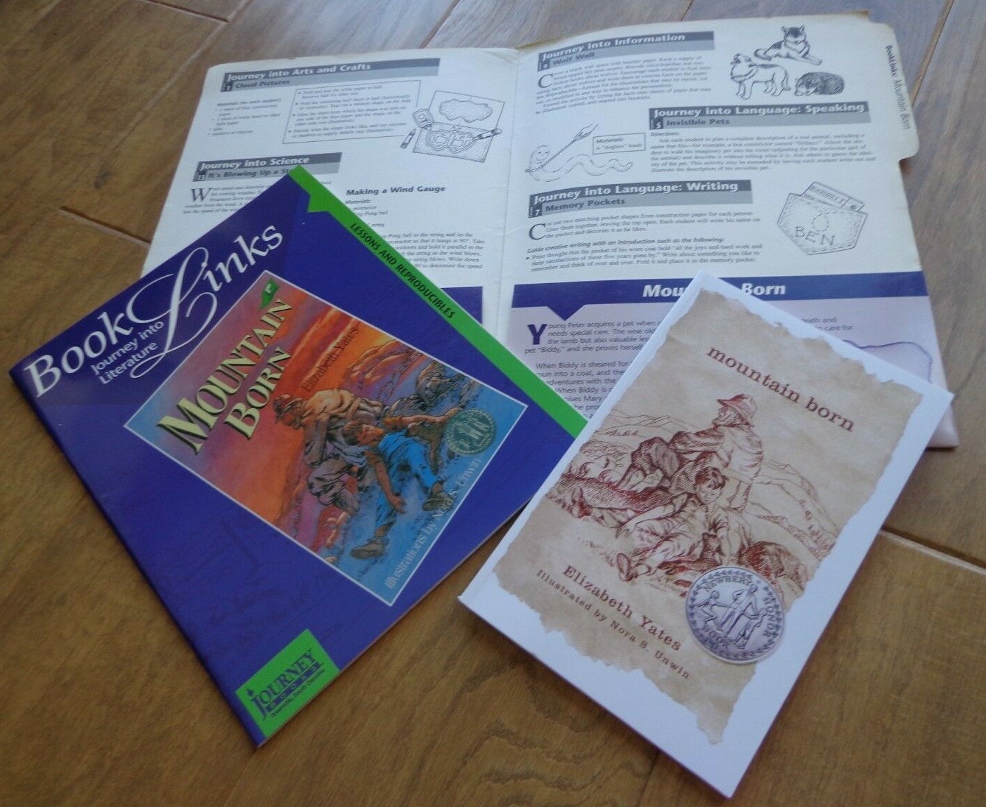 BJU Press EUC Mountain Born book + book link Christian Fiction grade 5 ages 9-12