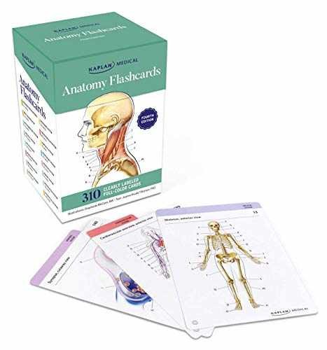 Anatomy Flashcards: 300 Flashcards – Cards, by Tillotson Joanne – Acceptable